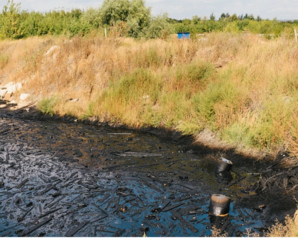 Самарские "Зелёные" остановили слив мазута рядом с рекой Чагра