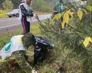 Пермские Зелёные очистили лес от мусора