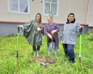«Зелёные» в Вологде высадили 50 деревьев у Дома ветеранов