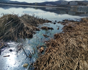 мусор в озере Солёное