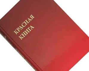 8 мая – Всемирный день Красной книги
