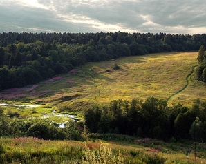 Правительство Московской области заверило "Зеленых", что разрешений на строительство объектов на Черневской поляне не выдавалось 