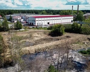 Новосибирские «Зелёные» требуют привлечь к ответственности виновных в организации «озера отходов» внутри леса