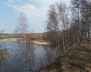 В Красносельском районе Костромской области пытаются спасти речку Покшу  