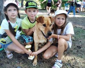 В Челябинске взяли собаку из приюта "Наш Дом"