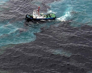 Нагибин: Кто ответит за отравленную нефтью экосистему Черного моря в Новороссийске?