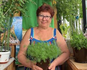 В Челябинске рекомендуют высаживать помидоры и зелень на балконах