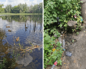Самарские "Зелёные" взяли на контроль восстановление и санитарное содержание городских озер Самары