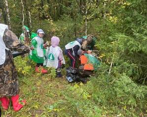 Дети приняли участие в уборке леса