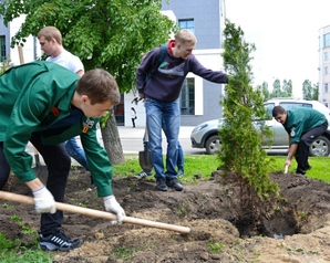 360: Единые правила компенсационного озеленения появятся в России