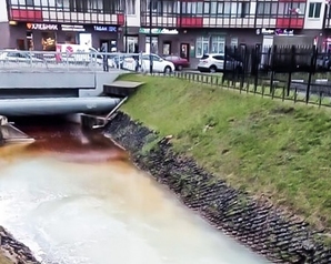 Сброс канализационных сточных вод в кудровский ручей Петербурга не остался безнаказанным