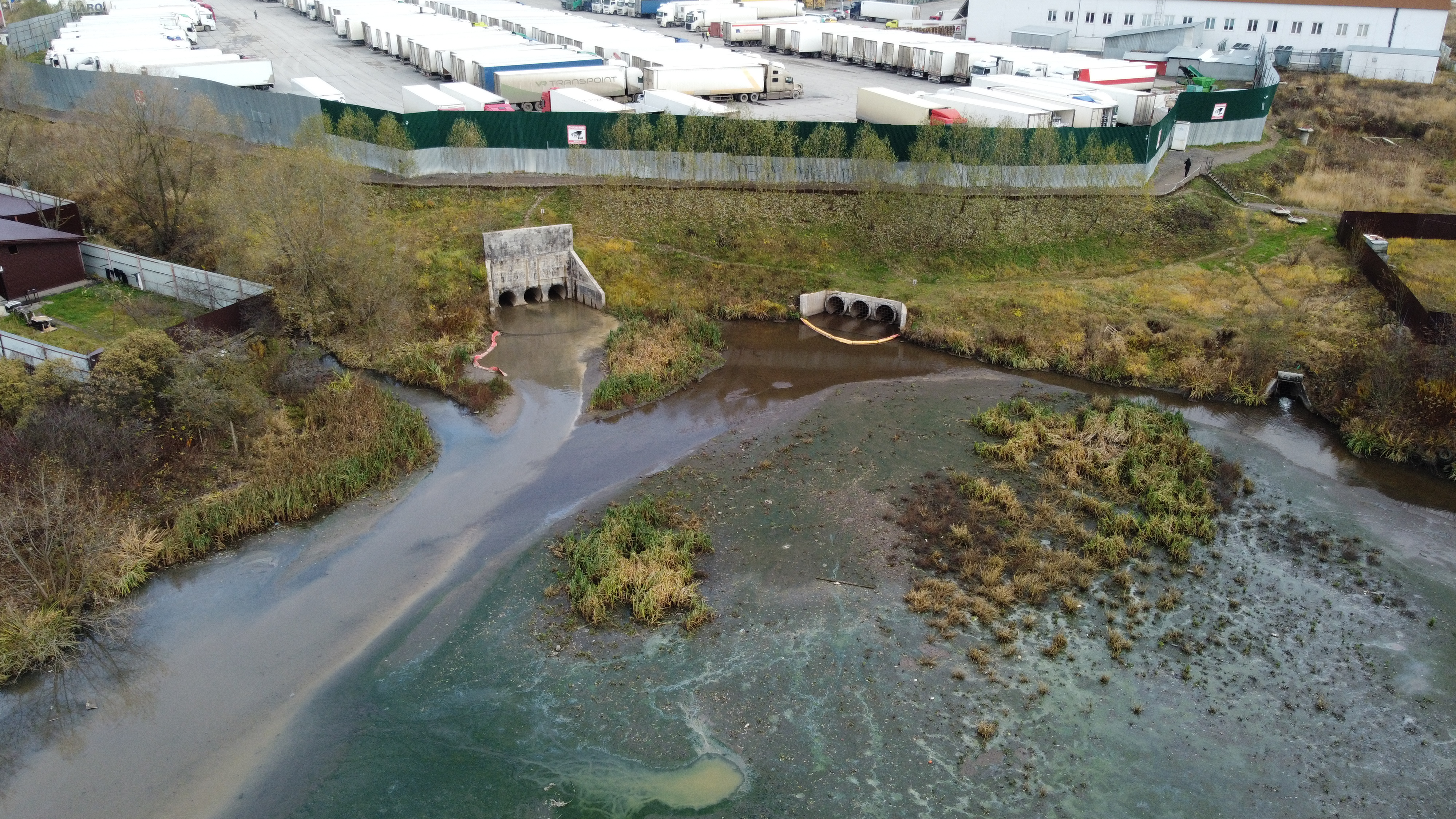 Московские «Зелёные» анализируют качество воды в реке Сосенка