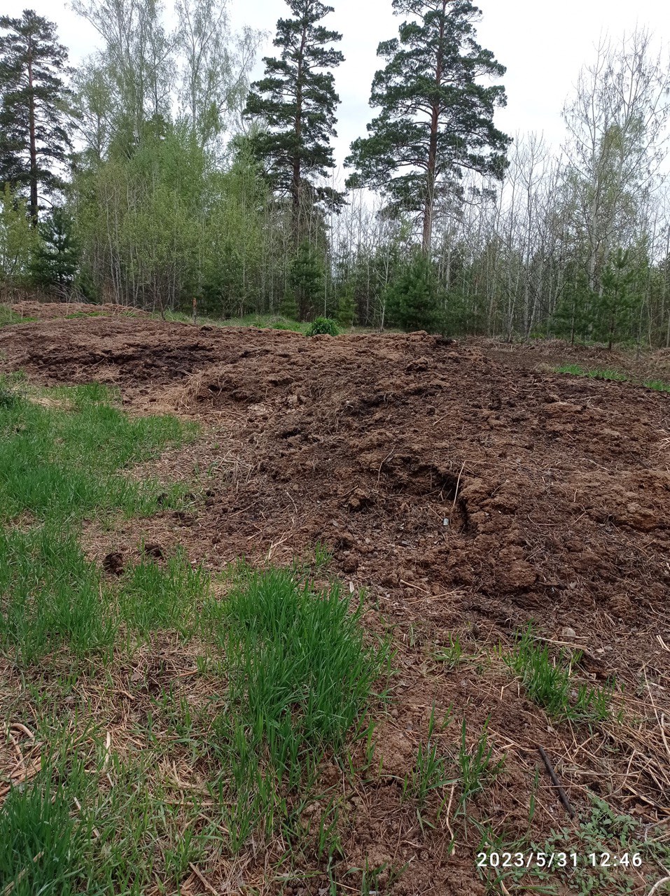 Иркутские «ЗЕЛЁНЫЕ» спасают СНТ под Ангарском от загрязнения почвы