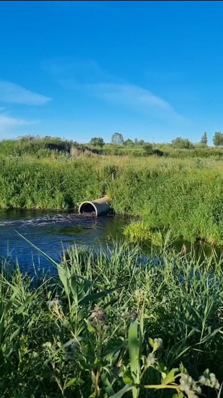 Ивановские 