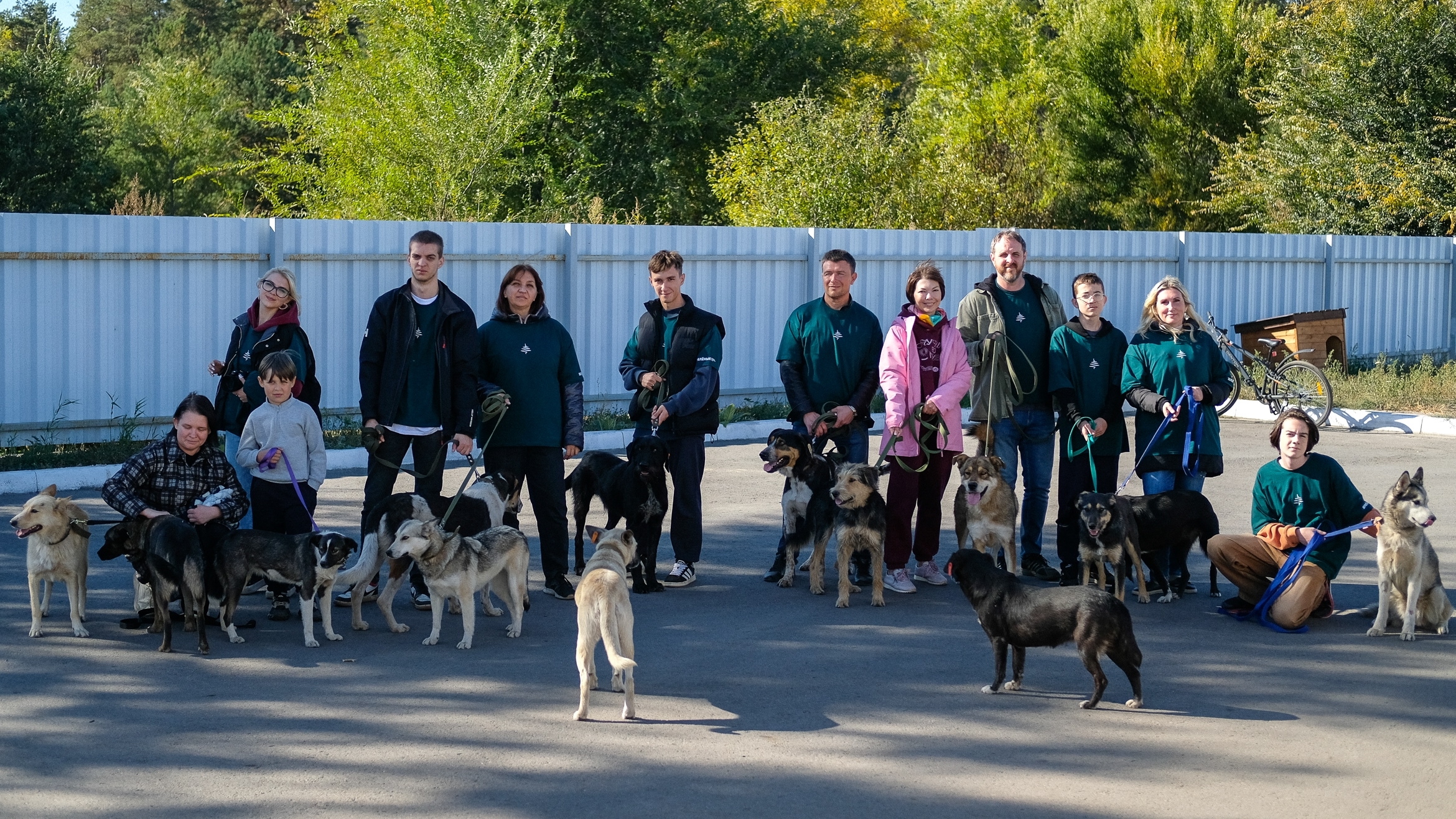 Воронежские «ЗЕЛЁНЫЕ» предложили включить поддержку приютов для безнадзорных животных в программу «Охрана окружающей среды»