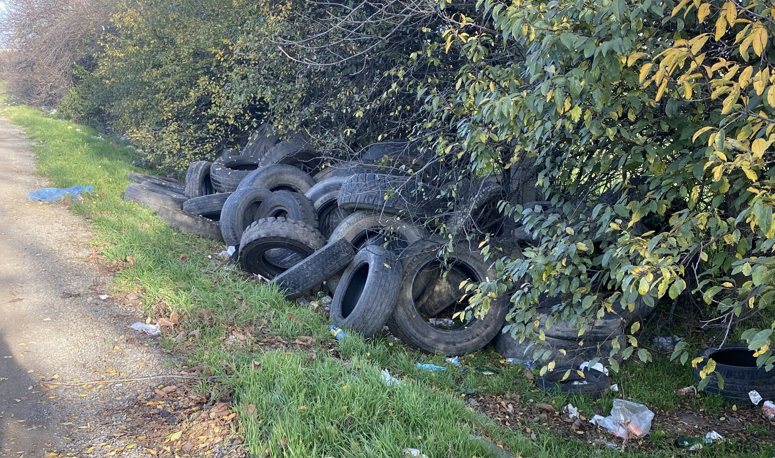 ️Свалка вновь появилась на обочине трассы в Краснодаре. Полтора года назад «ЗЕЛЁНЫЕ» просили установить на этом участке дороги камеры фотовидеофиксации