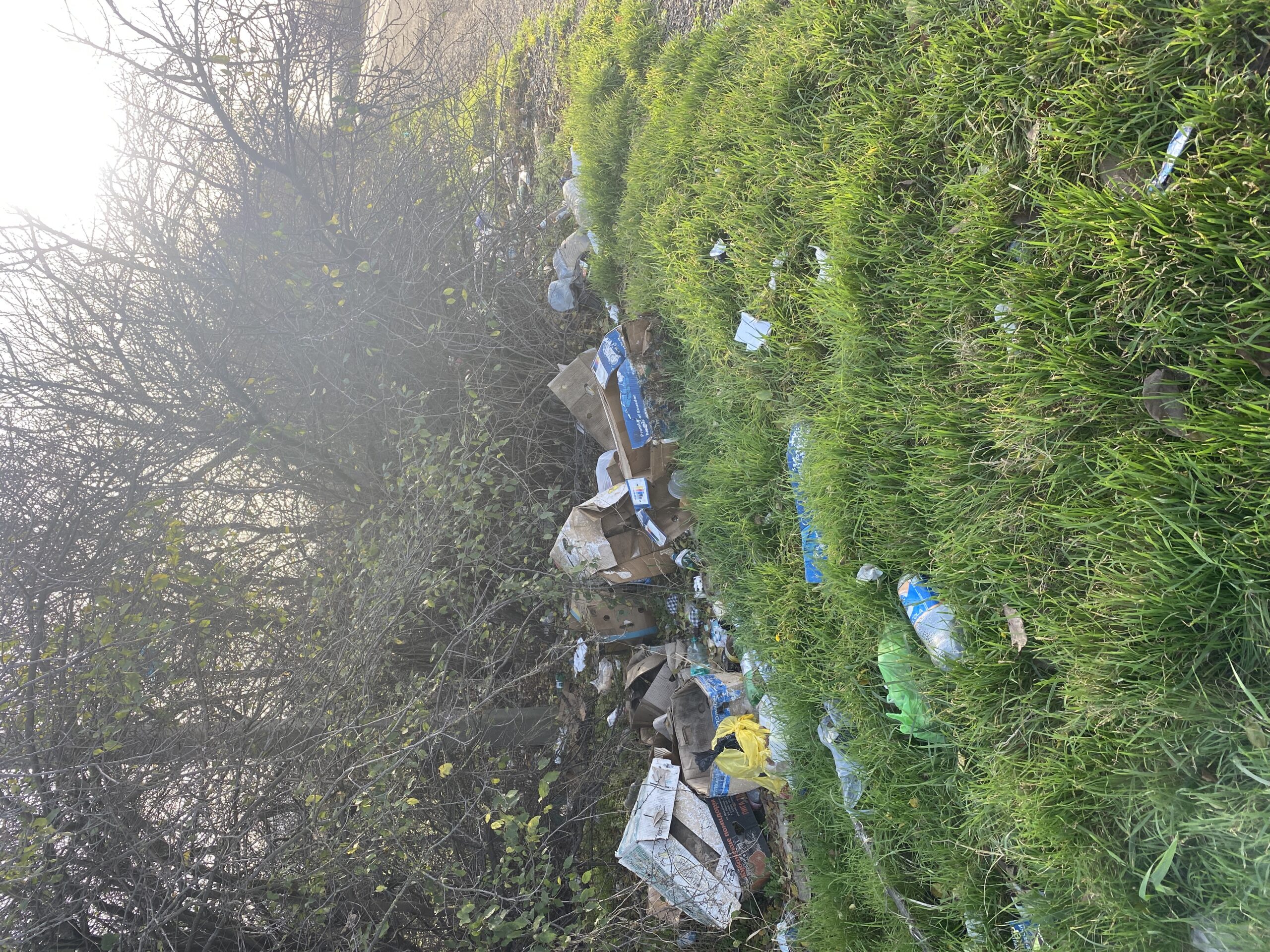 ️Свалка вновь появилась на обочине трассы в Краснодаре. Полтора года назад «ЗЕЛЁНЫЕ» просили установить на этом участке дороги камеры фотовидеофиксации ️Свалка вновь появилась на обочине трассы в Краснодаре. Полтора года назад «ЗЕЛЁНЫЕ» просили установить на этом участке дороги камеры фотовидеофиксации