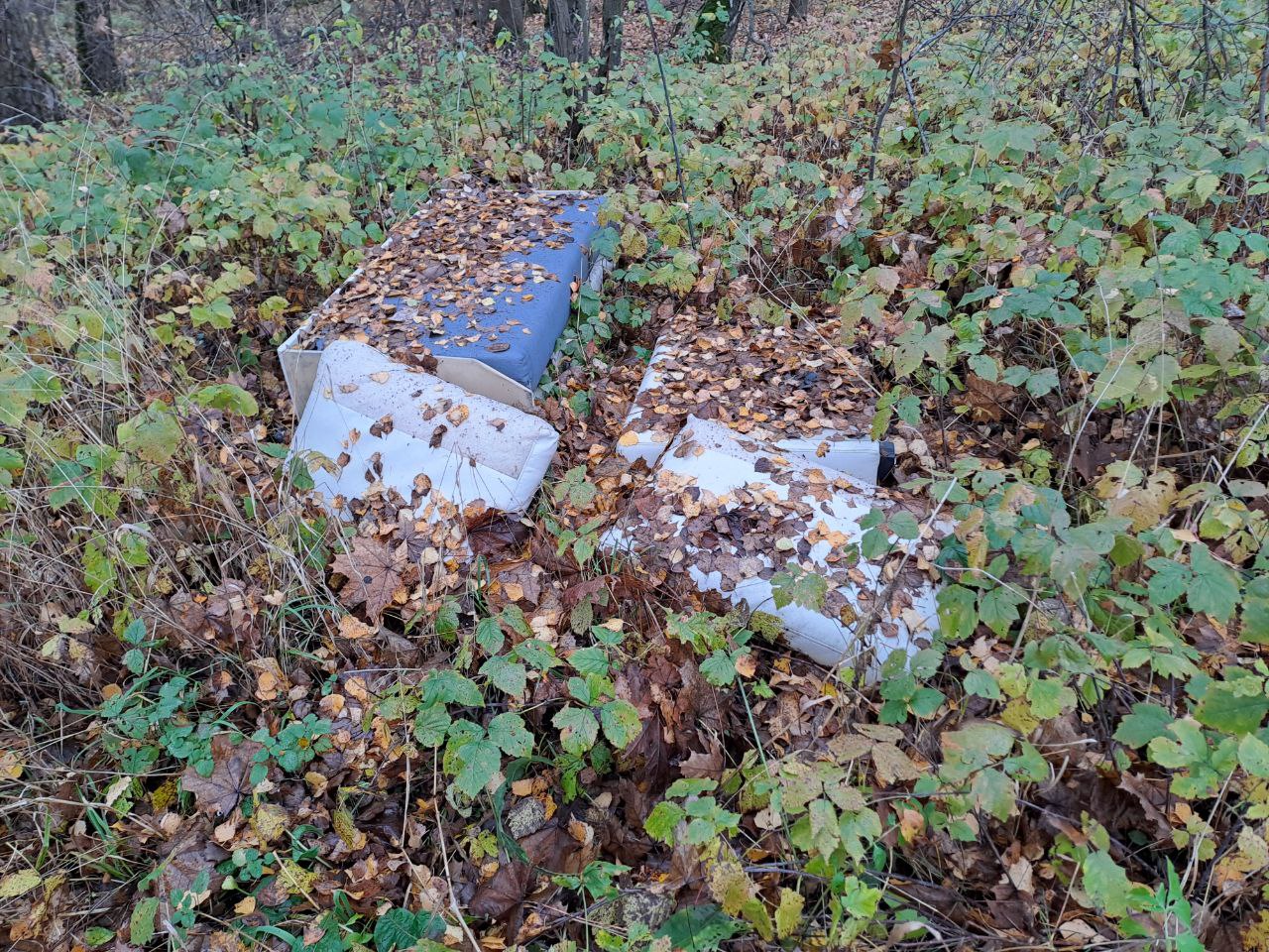 Свалка диванов в Подмосковье: «ЗЕЛЁНЫЕ» настаивают на установке видеокамер на проблемном участке дороги