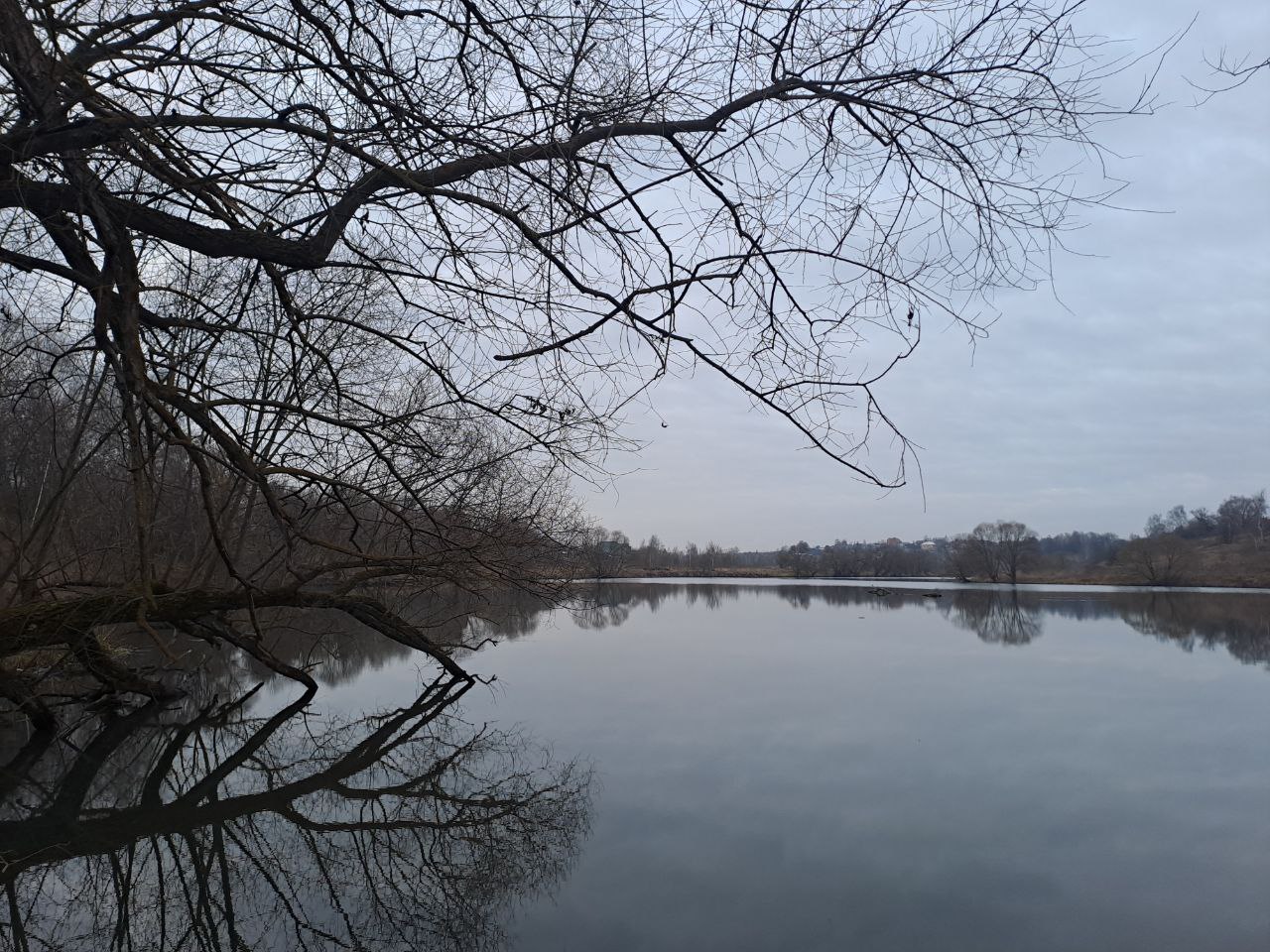 Очистили берег подмосковной реки от навалов мусора: московские «ЗЕЛЁНЫЕ» провели декабрьский субботник Очистили берег подмосковной реки от навалов мусора: московские «ЗЕЛЁНЫЕ» провели декабрьский субботник