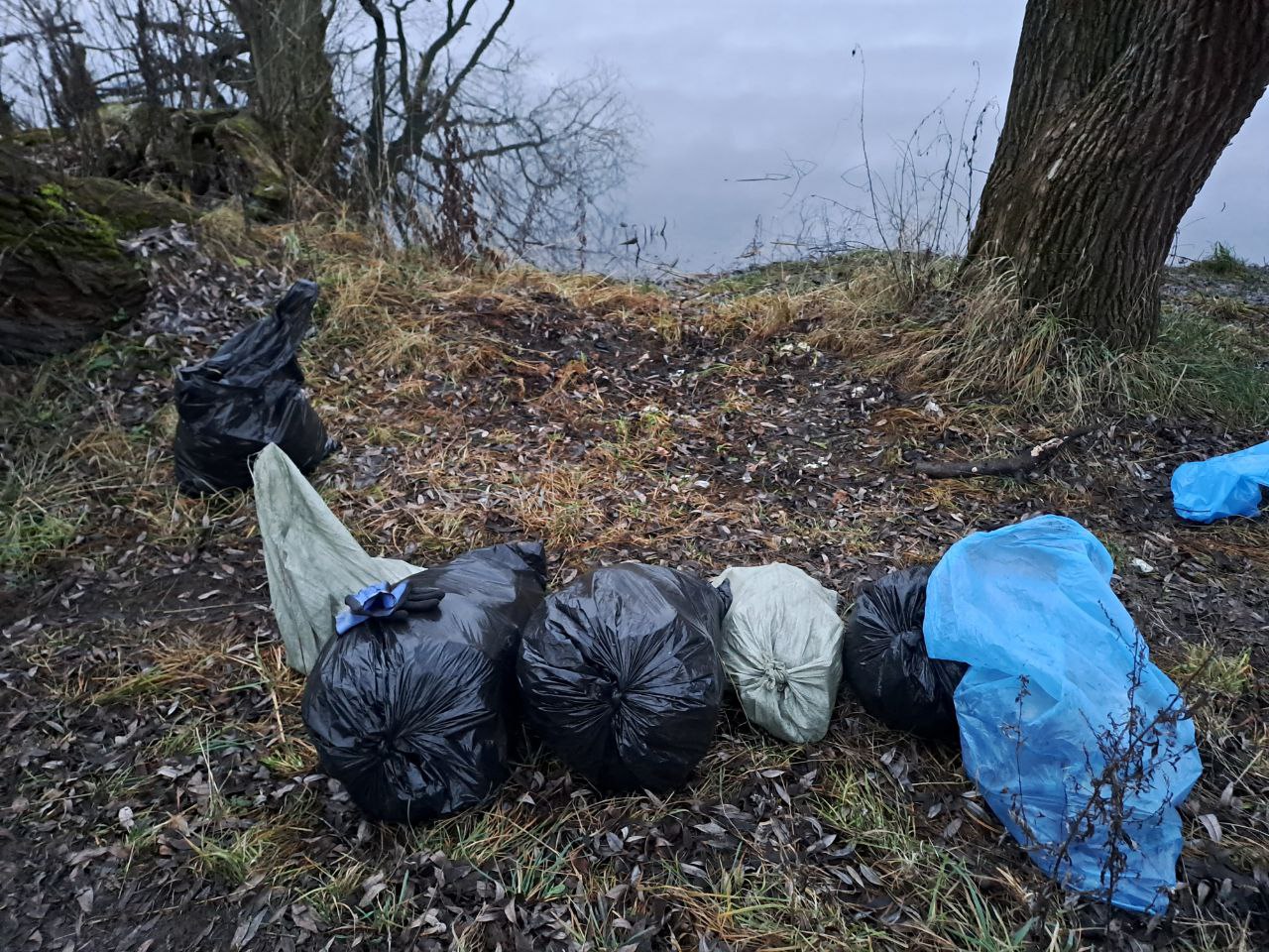 Очистили берег подмосковной реки от навалов мусора: московские «ЗЕЛЁНЫЕ» провели декабрьский субботник Очистили берег подмосковной реки от навалов мусора: московские «ЗЕЛЁНЫЕ» провели декабрьский субботник