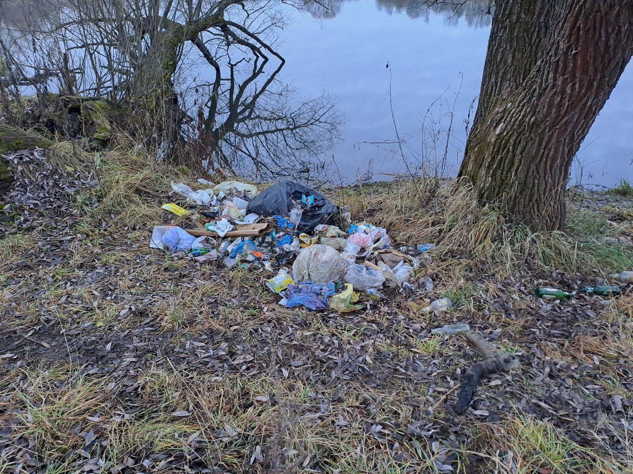 Очистили берег подмосковной реки от навалов мусора: московские «ЗЕЛЁНЫЕ» провели декабрьский субботник Очистили берег подмосковной реки от навалов мусора: московские «ЗЕЛЁНЫЕ» провели декабрьский субботник