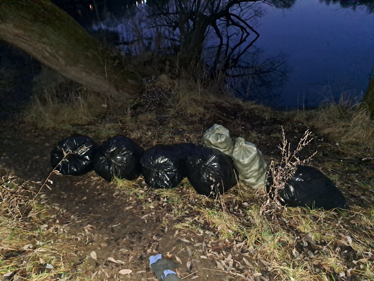 Очистили берег подмосковной реки от навалов мусора: московские «ЗЕЛЁНЫЕ» провели декабрьский субботник Очистили берег подмосковной реки от навалов мусора: московские «ЗЕЛЁНЫЕ» провели декабрьский субботник