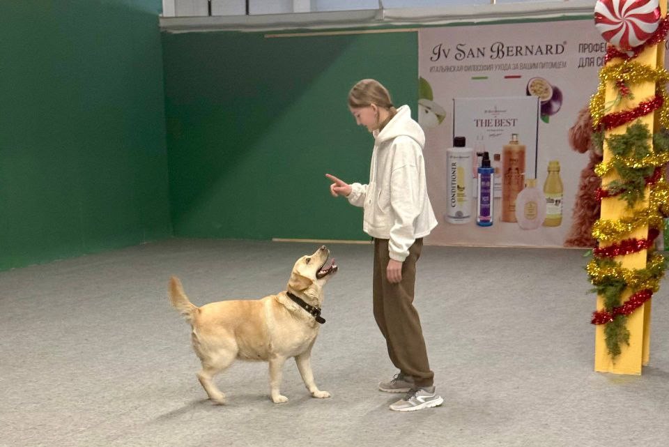 Учить ответственному отношению к питомцам нужно с самого детства, уверены «ЗЕЛЁНЫЕ» Башкортостана