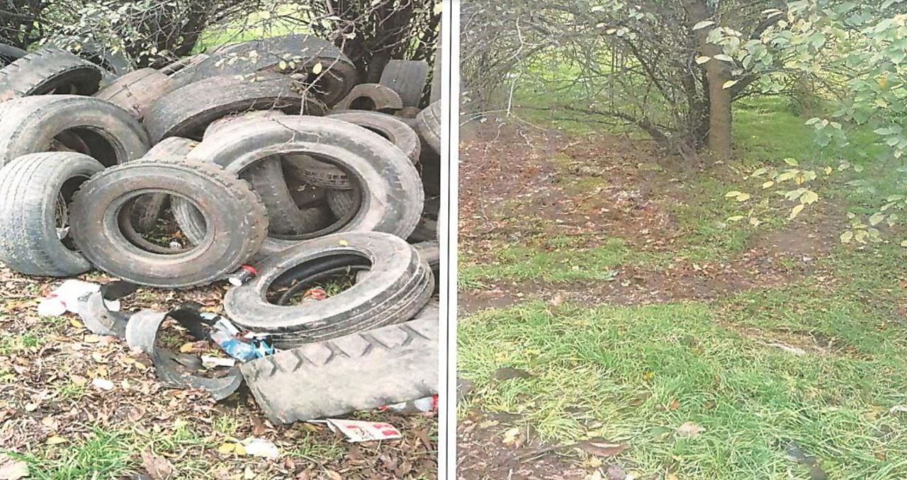 Установить ограждение на трассе в Краснодаре, где систематически образуются свалки, решил «Автодор» после обращения «ЗЕЛЁНЫХ»