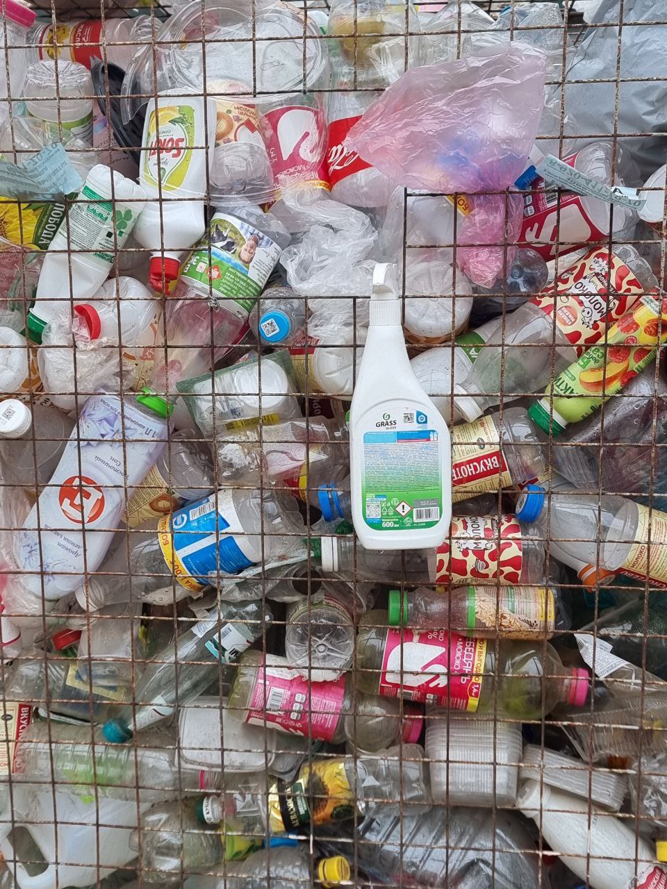 Для домохозяйств предложили ввести льготы за вывоз сортированных отходов