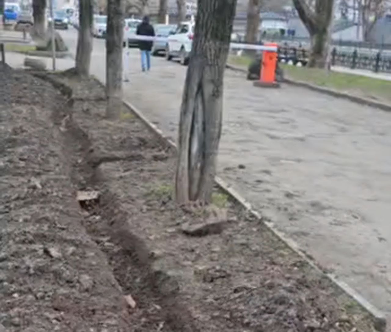 Варварство в центре Симферополя: на защиту сквера имени Потёмкина встали крымские «ЗЕЛЁНЫЕ»