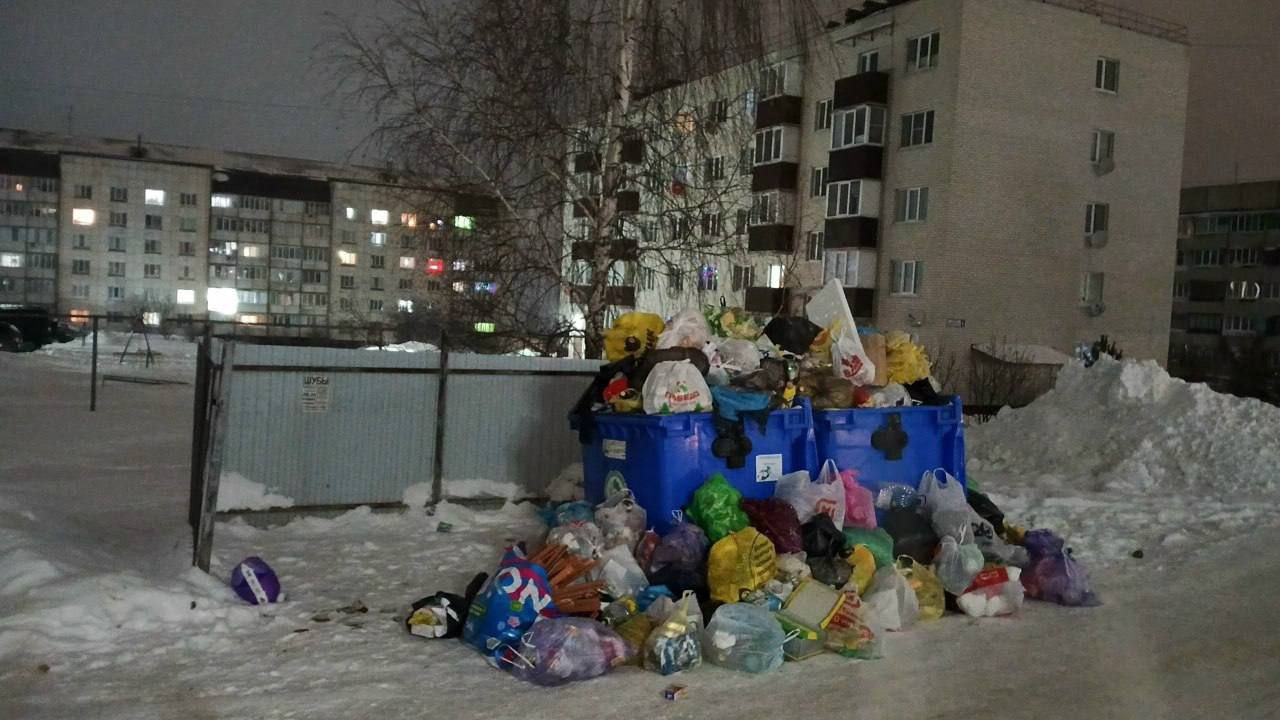 Срыв вывоза отходов с контейнерных площадок в Чувашии: «ЗЕЛЁНЫЕ» обратились для решения проблемы к местным властям