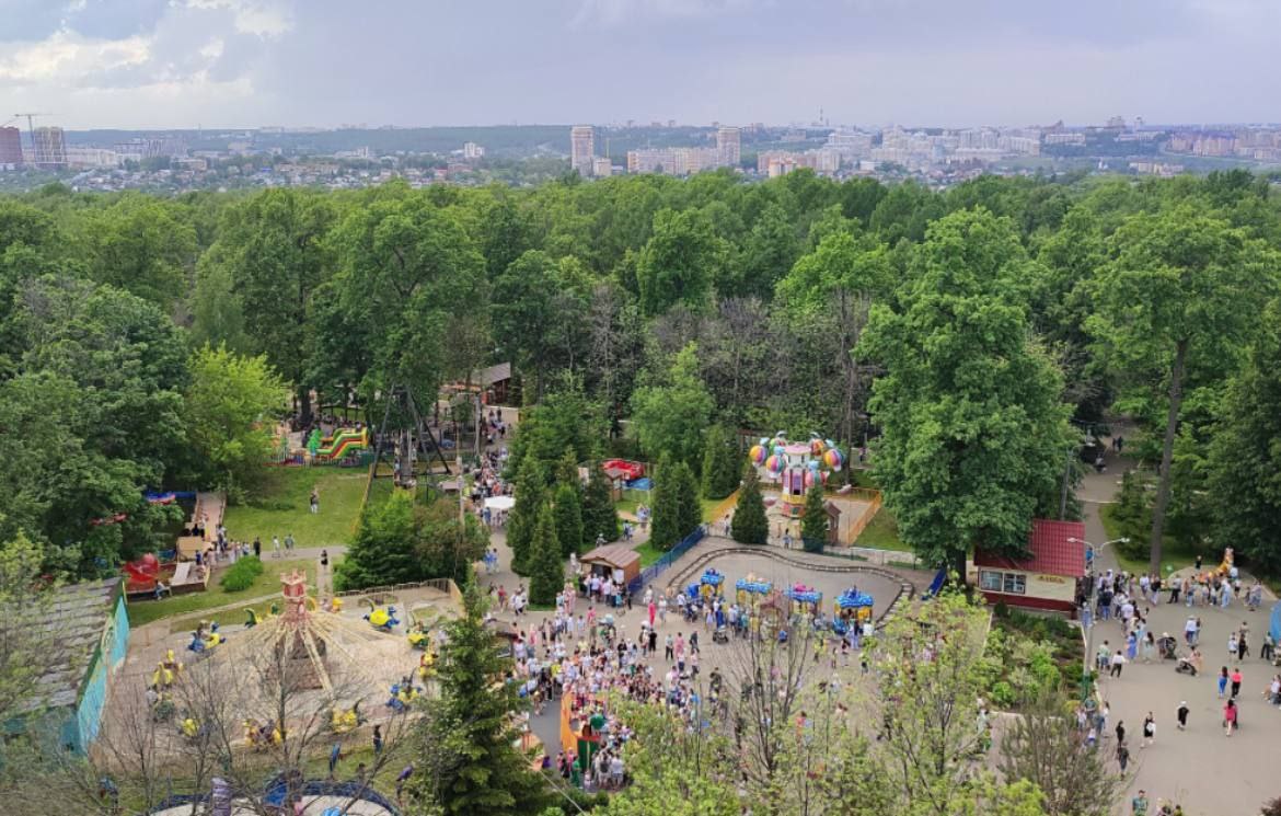 «ЗЕЛЁНЫЕ» обратились в Минприроды Чувашии с требованием вернуть статус ООПТ уникальной естественной дубраве