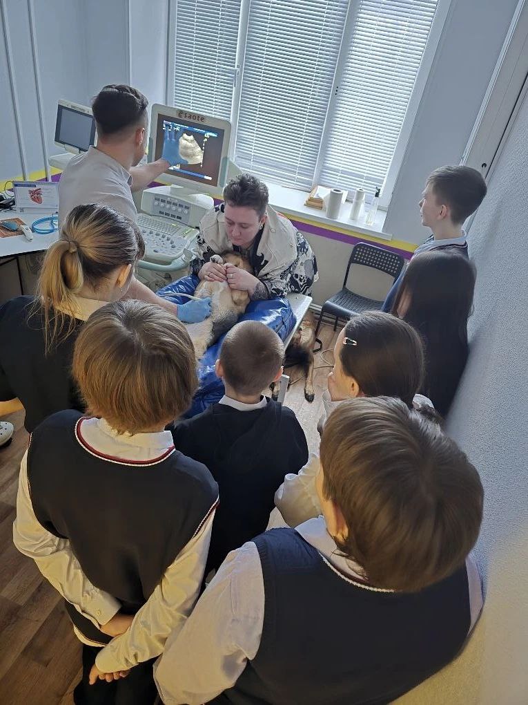 Будущее ветеринарии: проект «С заботой о будущем» в Лицее №60 🐾