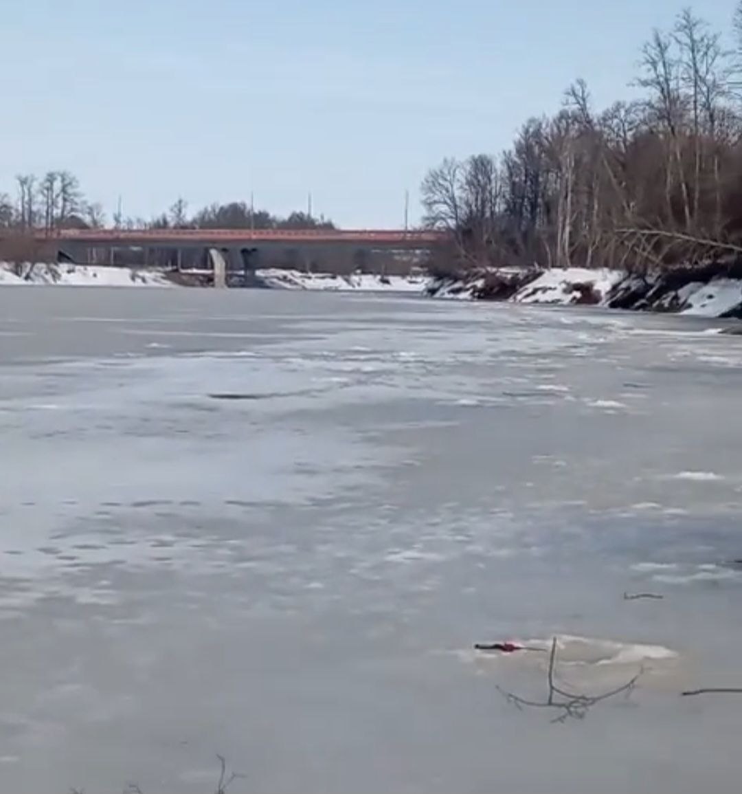 Пресечь загрязнение Клязьмы неочищенными стоками требуют «ЗЕЛЁНЫЕ» Владимирской области