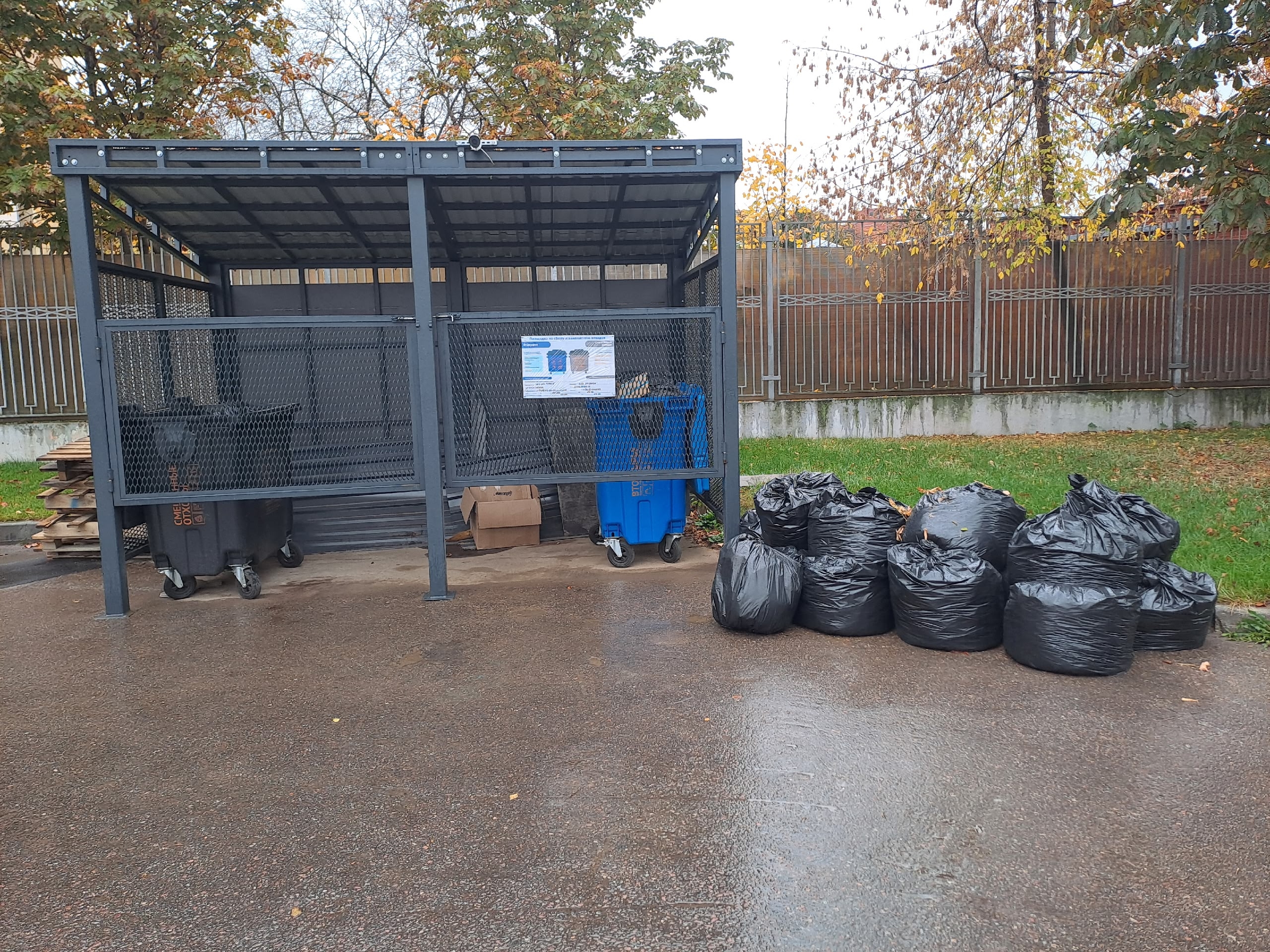 «ЗЕЛЁНЫЕ» Москвы призвали провести дополнительный инструктаж для дворников и сотрудников парков, убирающих опавшую листву